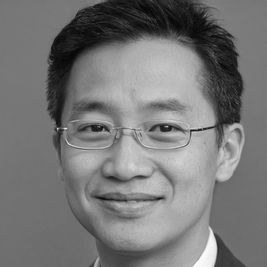 Porträt Birger Thomsen